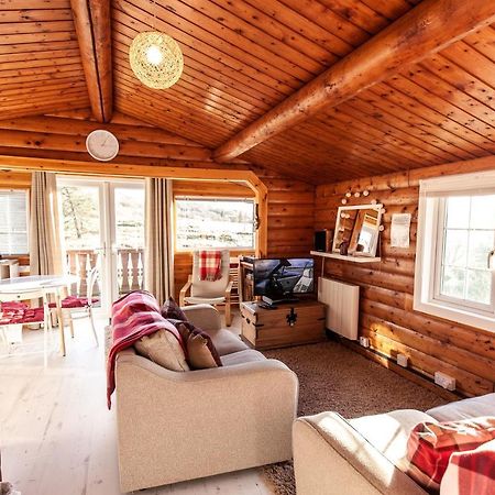 Welsh Retreat 2 Bedroom Log Cabin - Seren Property Trawsfynydd Buitenkant foto