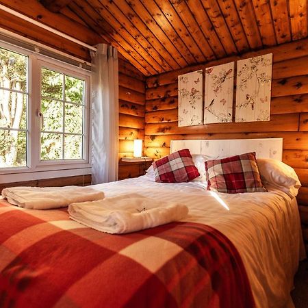 Welsh Retreat 2 Bedroom Log Cabin - Seren Property Trawsfynydd Buitenkant foto