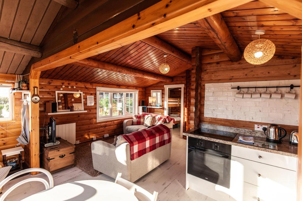 Welsh Retreat 2 Bedroom Log Cabin - Seren Property Trawsfynydd Buitenkant foto