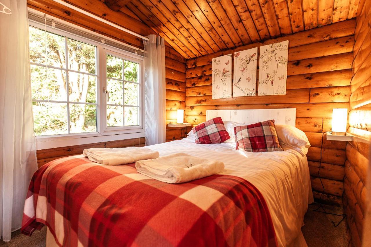 Welsh Retreat 2 Bedroom Log Cabin - Seren Property Trawsfynydd Buitenkant foto
