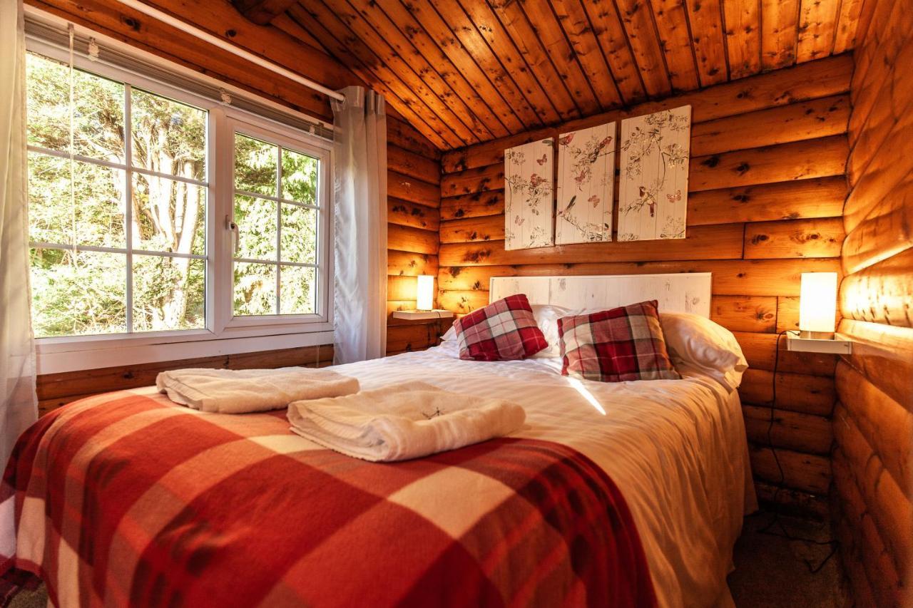 Welsh Retreat 2 Bedroom Log Cabin - Seren Property Trawsfynydd Buitenkant foto