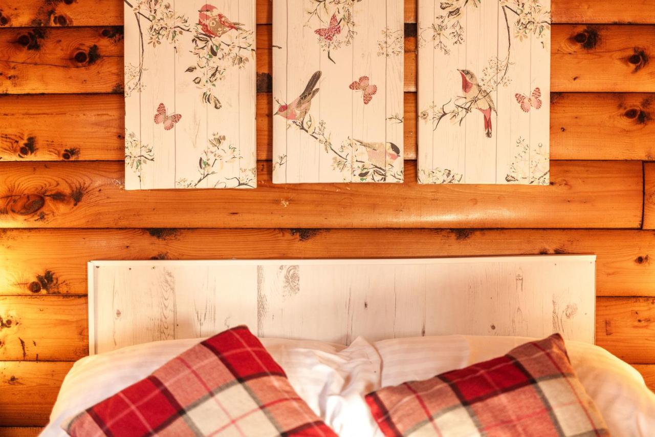 Welsh Retreat 2 Bedroom Log Cabin - Seren Property Trawsfynydd Buitenkant foto
